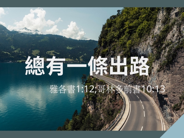 𝐍𝐎𝟑𝟏-總有一條出路