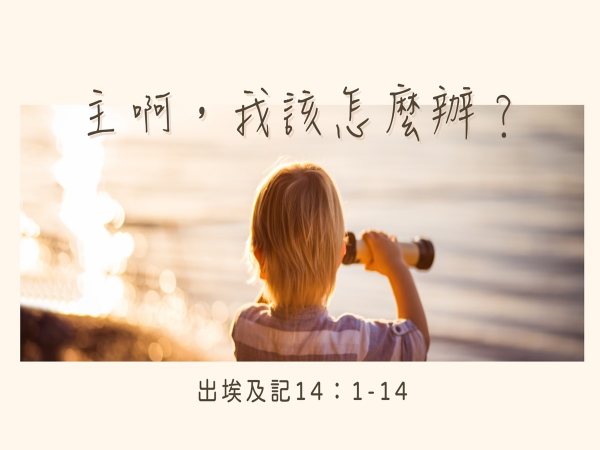 𝐍𝐎𝟐𝟑-主啊，我該怎麼辦？