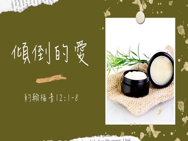 𝐍𝐎𝟓𝟎-傾倒的愛