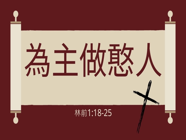 𝐍𝐎𝟕-為主做憨人