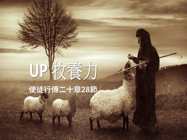 𝐍𝐎𝟓𝟑-UP牧養力