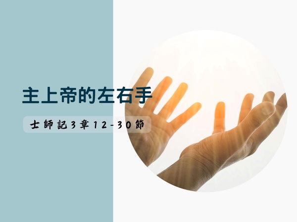 𝐍𝐎𝟐𝟒-主上帝的左右手