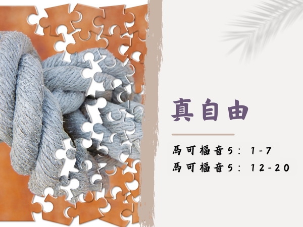 𝐍𝐎𝟐𝟓-真自由