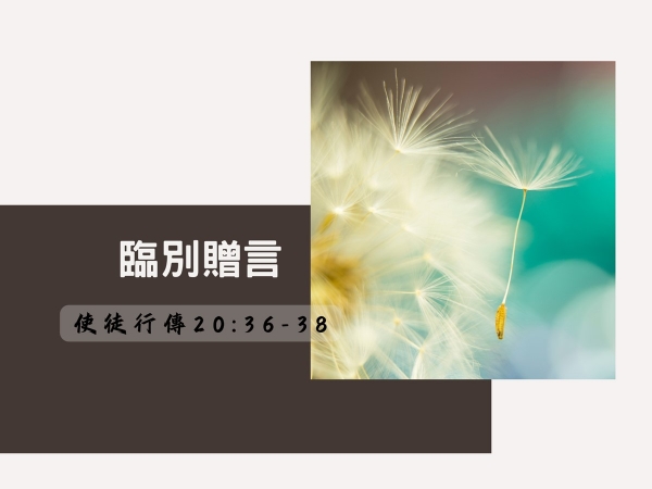 𝐍𝐎𝟑𝟎-臨別贈言