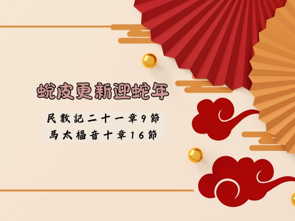 𝐍𝐎𝟓-蛻皮更新迎蛇年