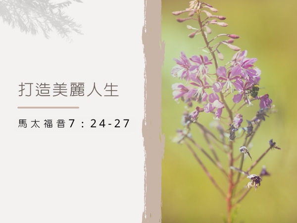 𝐍𝐎𝟏𝟕-打造美麗人生