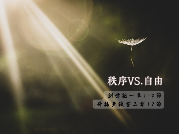 𝐍𝐎𝟐𝟑-秩序vs.自由