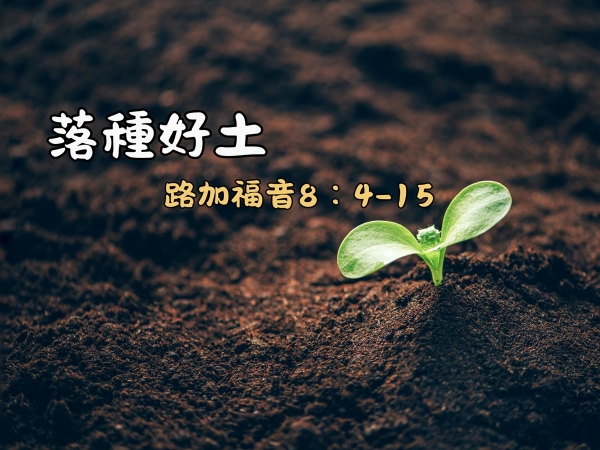 𝐍𝐎𝟐𝟓-落種好土