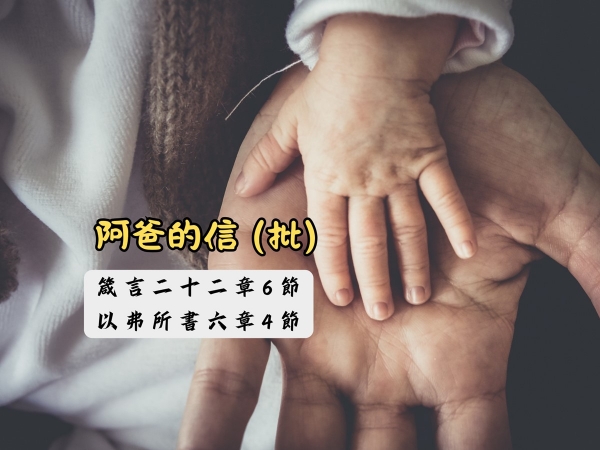 𝐍𝐎𝟑𝟏-阿爸的信 (批)