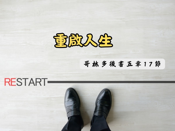 𝐍𝐎𝟑𝟑-重啟人生