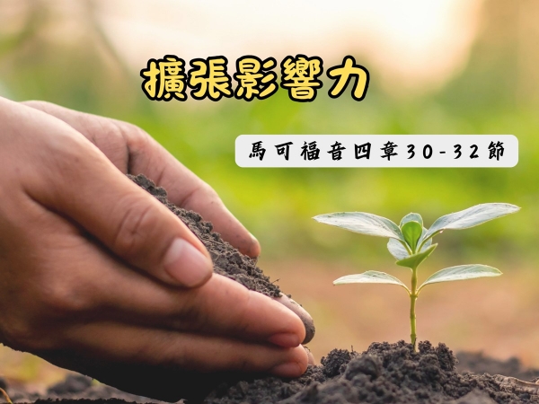 𝐍𝐎𝟑𝟗-擴張影響力