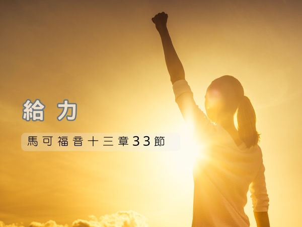 𝐍𝐎𝟒𝟐-給力