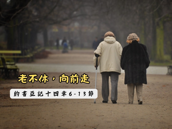 𝐍𝐎𝟒𝟑-老不休，向前走